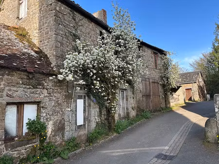 vente maison 3 pièces 90 m² à athis-de-l'orne (61430)  29 000 €