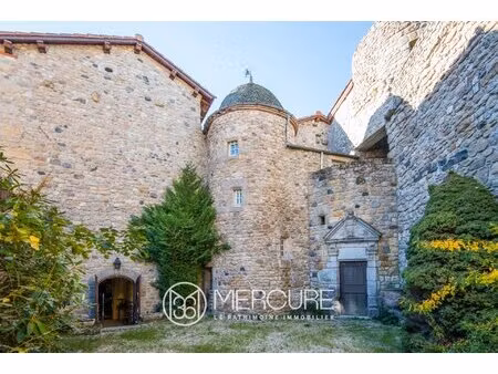 achat maison 20 pièces 650m² le malzieu ville 48140