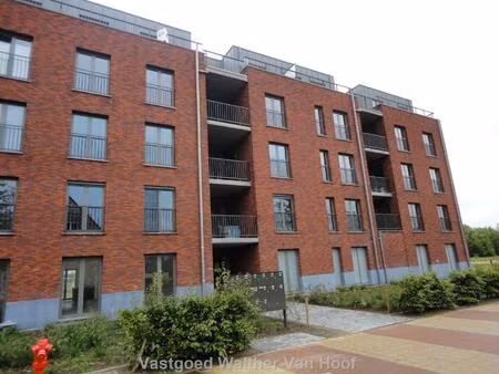 appartement te huur in lier met 2 slaapkamers