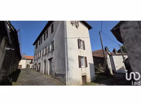 maison à saint santin cantales (15150)
