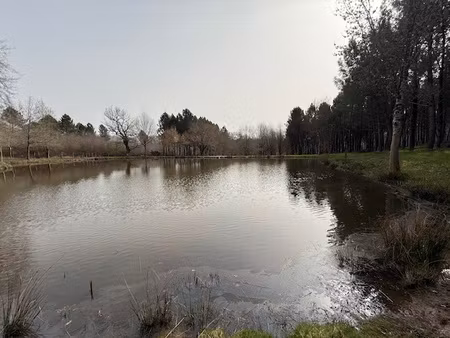 achat terrain 79 290m² st aigulin 17360