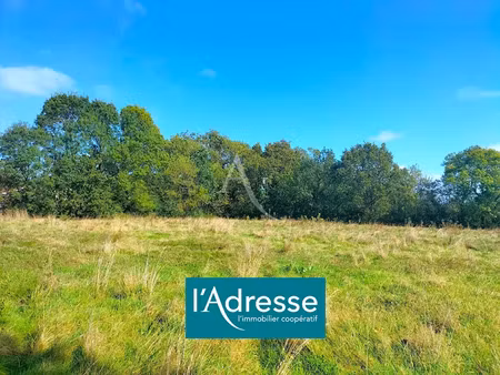 vente maison 430 m² à gerbéviller (54830)  199 900 €