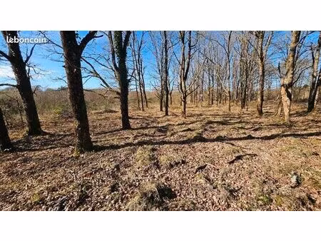 terrain 7 220 m² romorantin lanthenay