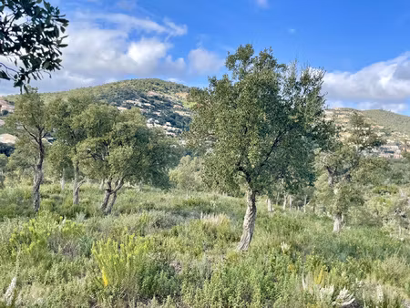 achat terrain 1 274m² la londe les maures 83250