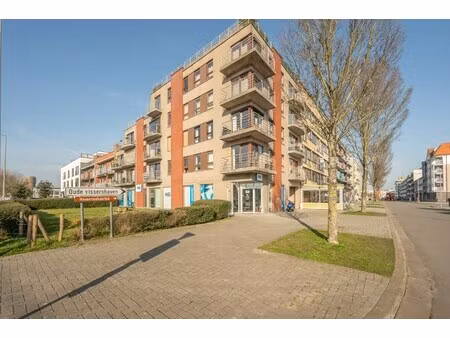 appartement te koop in zeebrugge met 1 slaapkamer