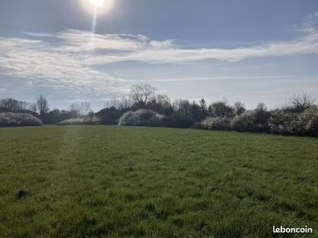 terrain 544 m² buzet sur tarn