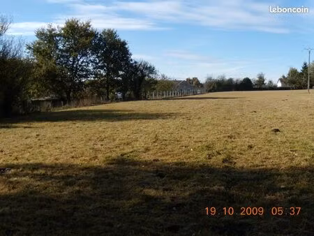 terrain constructible