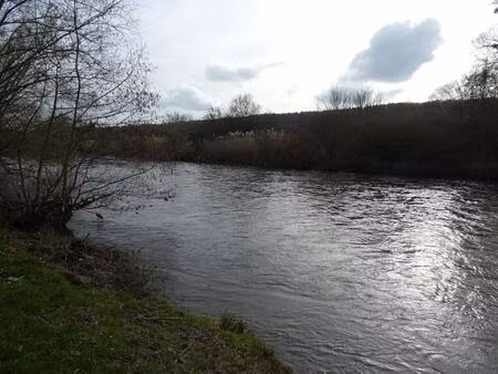 terrain de loisirs 2 hectares