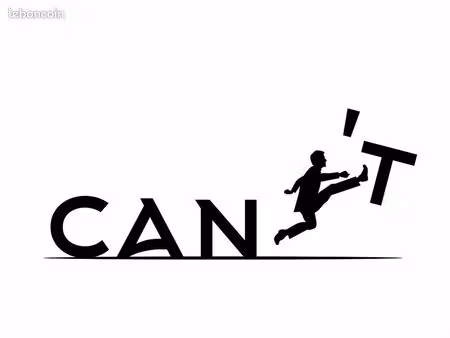 recherche grand t2 ou t3