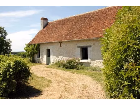 vente maison 4 pièces 125 m² à verneuil-sur-indre (37600)  210 000 €