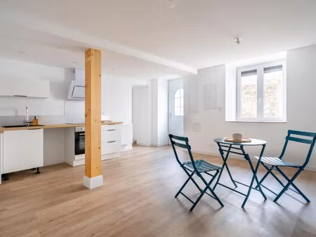 hotel dieu - au calme de son impasse  charmant deux pièces entièrement rénové. grenier.