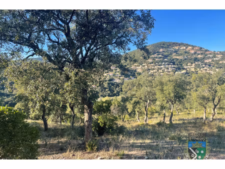 annonce terrain à vendre