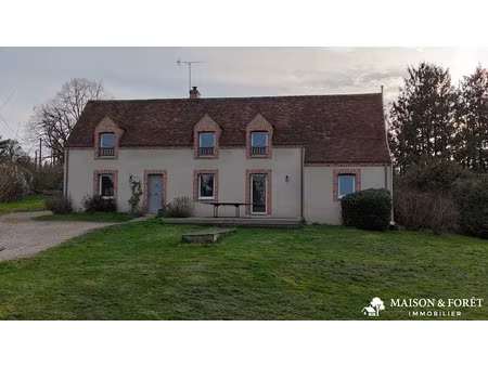 vente maison 7 pièces 180 m² à saint-brisson-sur-loire (45500)  299 000 €