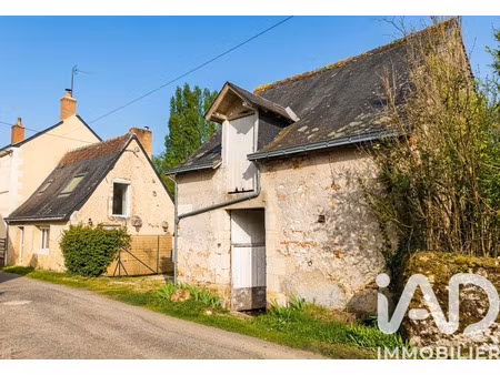 vente maison à artannes-sur-indre (37260) : à vendre / 44m² artannes-sur-indre
