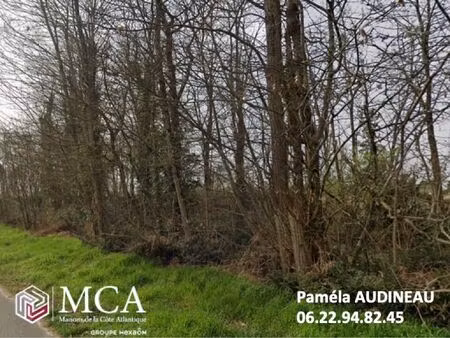 vente terrain 702 m² fargues (33210)