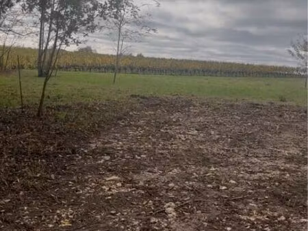 vente terrain 5000 m² langoiran (33550)