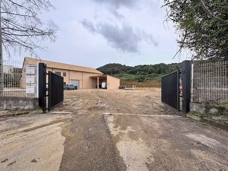 location local d'activités 230m2 ajaccio 20000 - 5000 € - surface privée