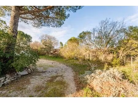 vente terrain 433 m² paulhan (34230)