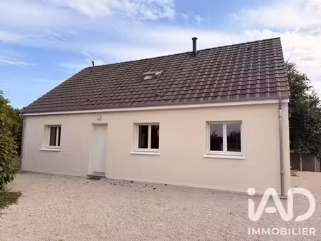 maison traditionnelle à oison (45170)