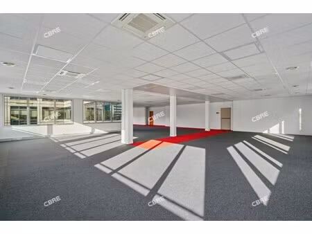 achat local professionnel 425m²