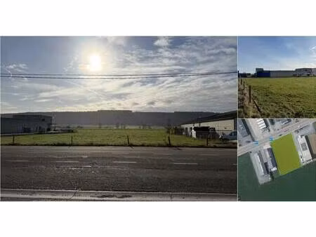 terrain à vendre de 2620 m² à beauraing (vbd94936)