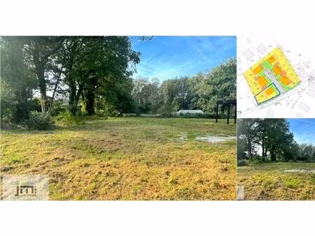 terrain à bâtir à vendre à tenrijt lot 1 houthalen-helchteren (rbv41128)