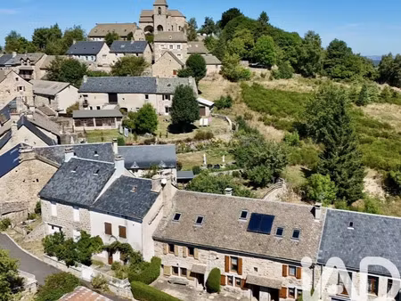 vente maison 9 pièces 199 m² termes (48310)