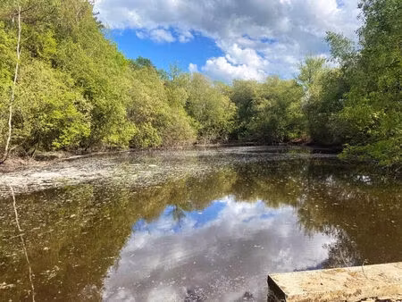 vente commerce 15743 m² dussac (24270)