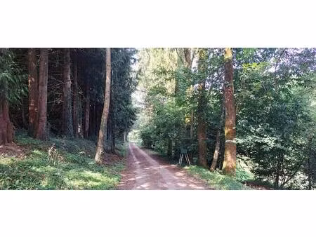 vente maison 6 pièces 130 m² bais (53160)