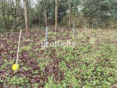 terrain constructible viabilisé à vendre