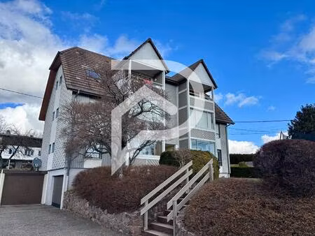 stephane plaza immobilier colmar -sud