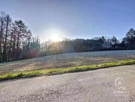 terrain agréable dans la forêt de dion