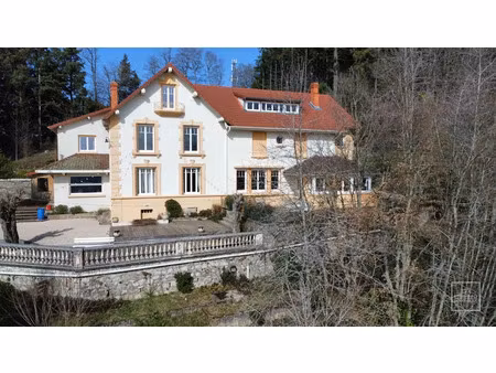 vente maison 12 pièces 431 m² à violay (42780)  795 000 €