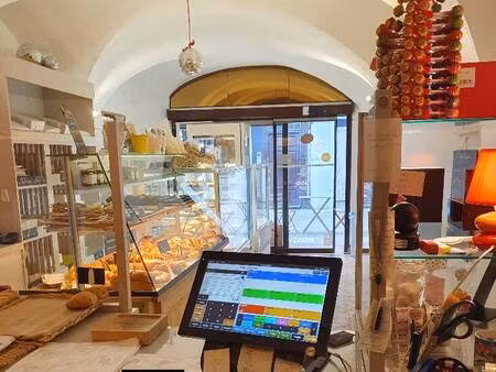 immobilière les allées