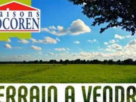 vente terrain à champagné (72470) : à vendre / champagné