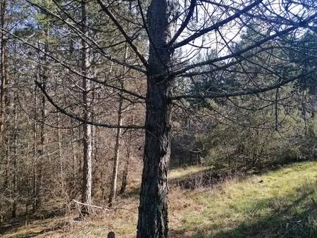 safti colomb pierre conseiller indépendant