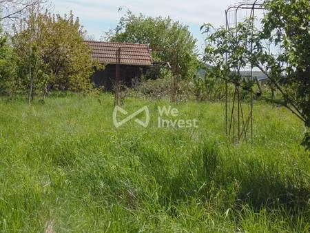 we invest isabelle hernandez