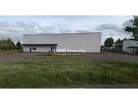 local d'activités à louer