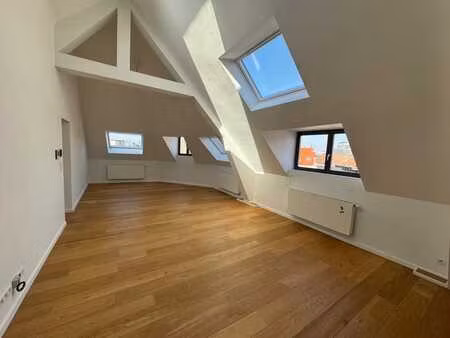 magnifique appartement dans le centre de bruxelles
