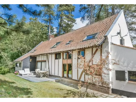 vente maison 6 pièces 156 m² à hardelot plage (62152)  832 000 €