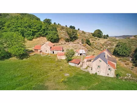 vente ferme 5 pièces 100 m² à dourbies (30750)  840 000 €