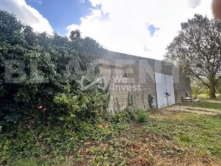 we invest pascal ivkovic