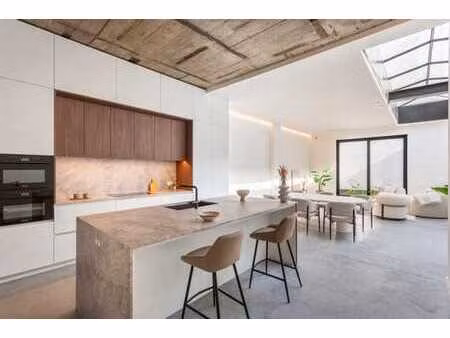 loft de luxe unique d’environ 229 m² avec jardin  au zuid.