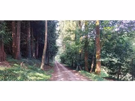 fermette de 130m² avec 4 chambres sur un magnifique terrain de 15000m²