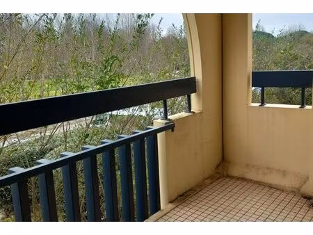 spacieux t2 a cornebarrieu