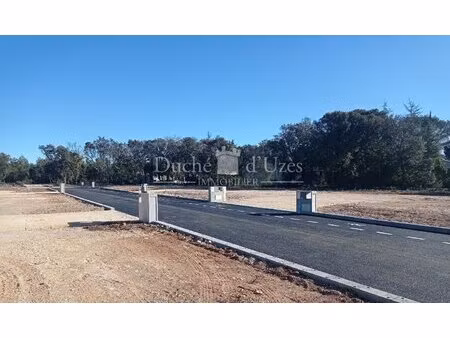 terrain constructible