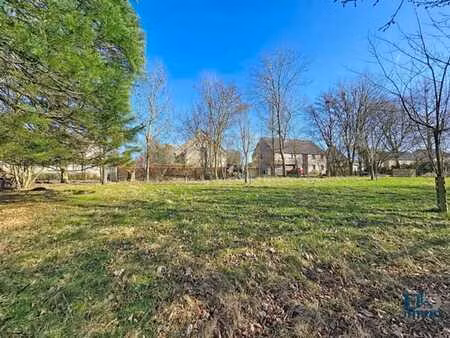 terrain au calme et lumineux