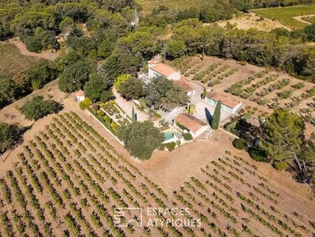 domaine avec vignes oliveraie et annexes