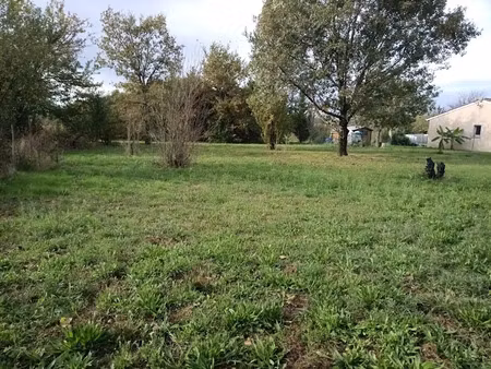 vente terrain 500 m² à cartelègue (33390)  28 000 €