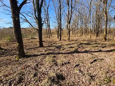 vente terrain 7220 m² à romorantin-lanthenay (41200)  20 000 €